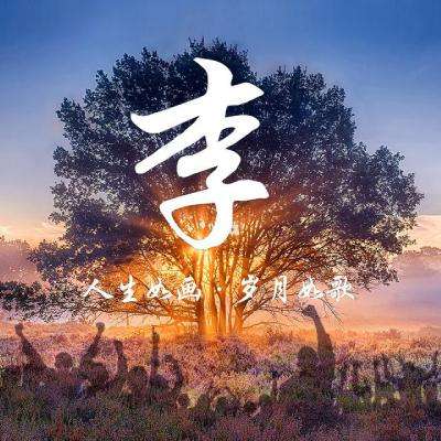 宝宝当牙医游戏下载